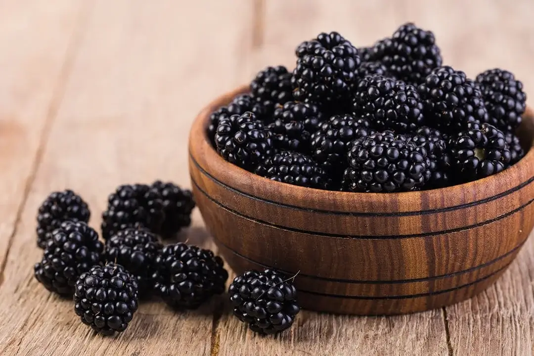 dani kupine divcibare